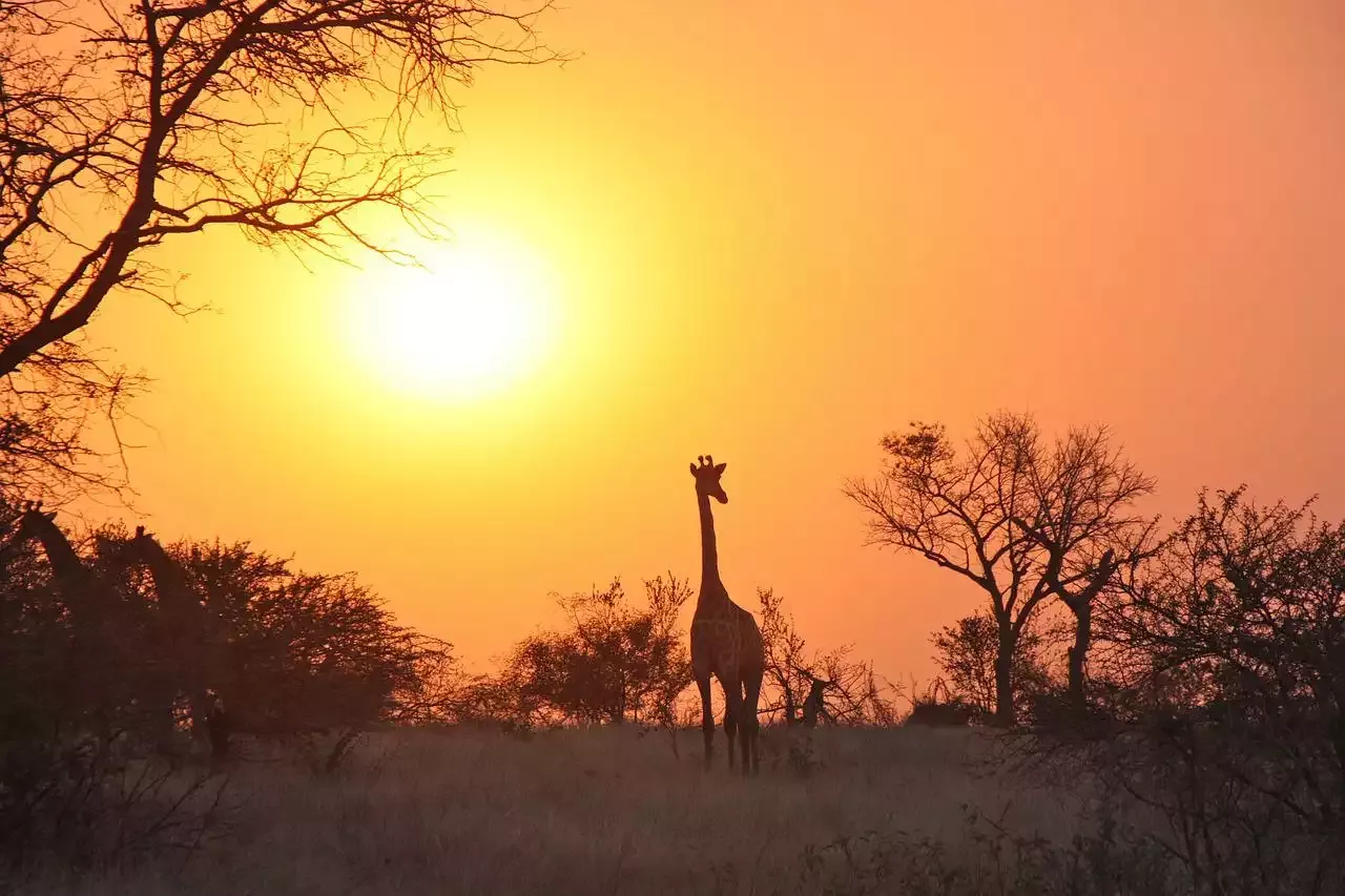 Tongabezi Lodge in Simonga - Zambia