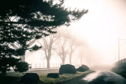 Hiking the Best Trails in Japan